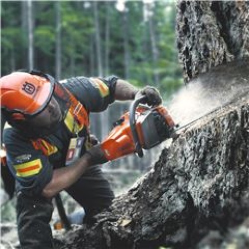 Husqvarna 455r on sale